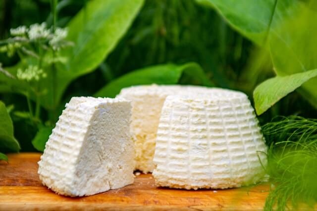 Cottage Cheese Shortage